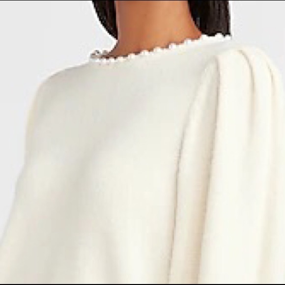 Express Beautiful & Classy Pearl Trim Crew Neck Sweater- Swan Color SZ L - Picture 2 of 4
